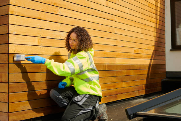 Best Siding Painting and Refinishing  in Edwards, CO